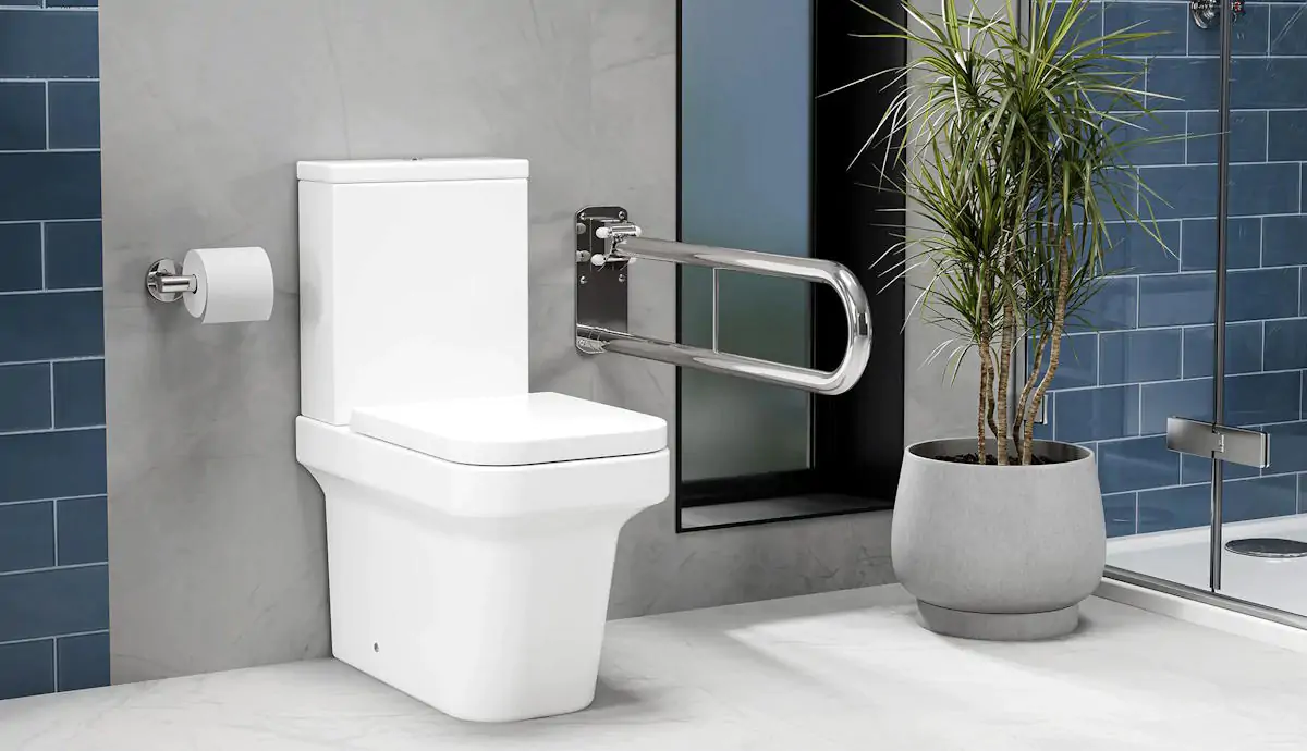 Wall mounted folding support arm beside an accessible toilet