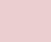 Showerwall - Blush Bathroom Wall Panels - Choice of Panel