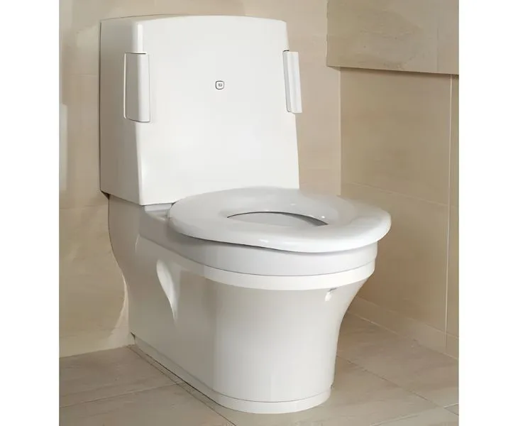 Accessible shower toilet in an adapted bathroom