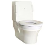 Closomat Bariatric Palma Vita Shower Toilet, with Options