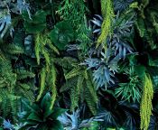 Showerwall - Plant Wall Bathroom Wall Panels - Choice of Panel