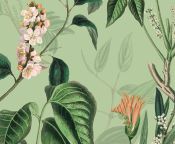 Showerwall - Blossom Bathroom Wall Panels - Choice of Panel