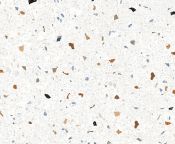 Showerwall - Revello Terrazzo Bathroom Wall Panels - Choice of Panel