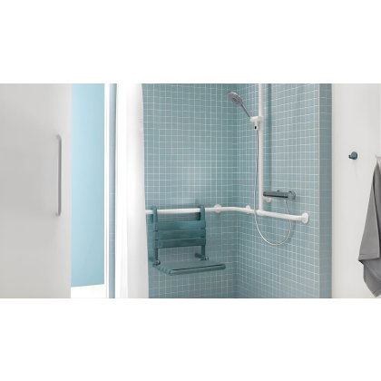 Shower Seats