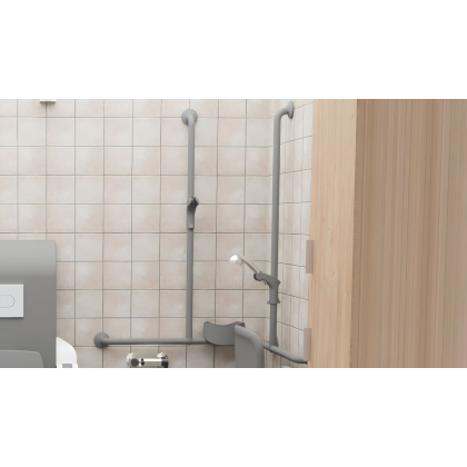 Angled & Toilet Roll Holder Rails