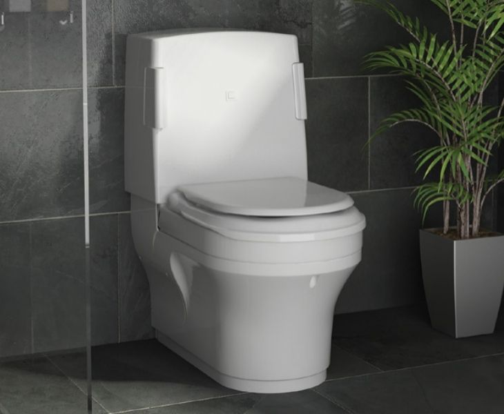 An example shower toilet, the Closomat Palma Vita