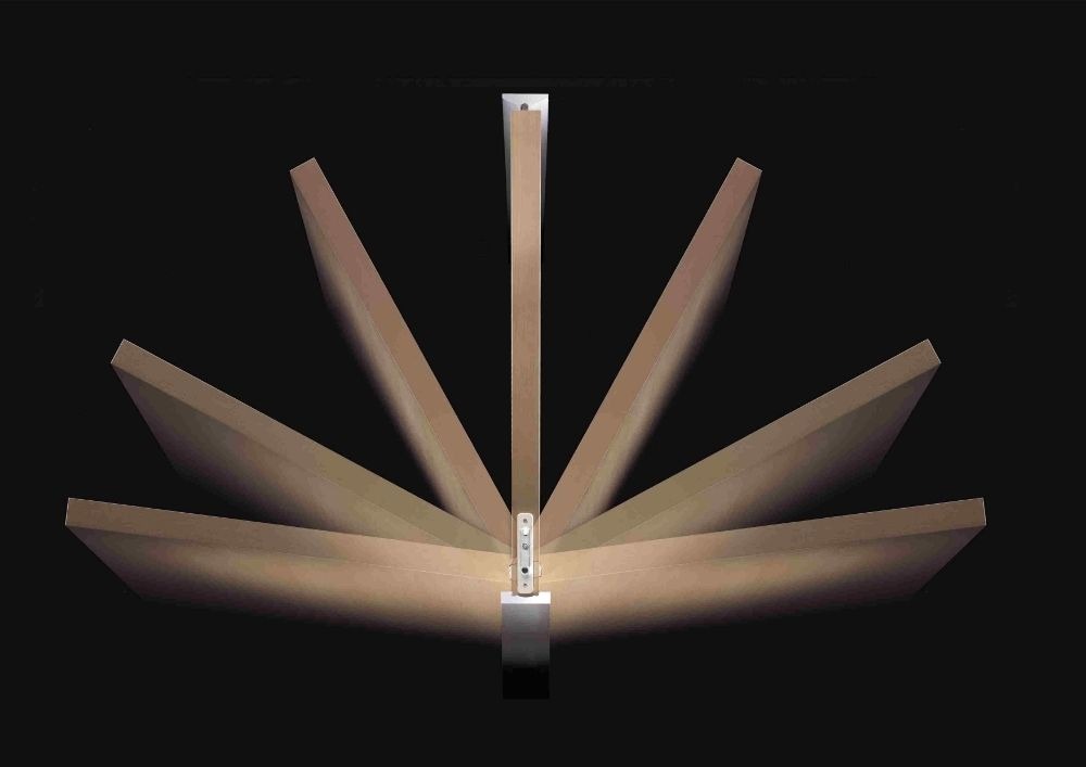 Double-action pivot hinge allowing a door to swing in either direction