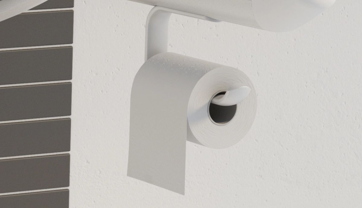 Accessible toilet with backrest, plinth and reachable accessories